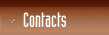 contacts